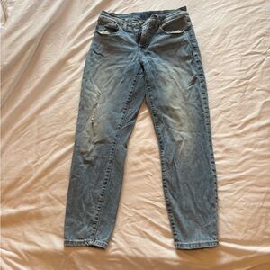 Lucky Brand Women's Light Blue Skinny Jeans